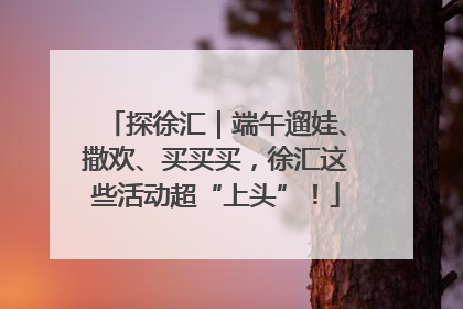 探徐汇｜端午遛娃、撒欢、买买买，徐汇这些活动超“上头”！